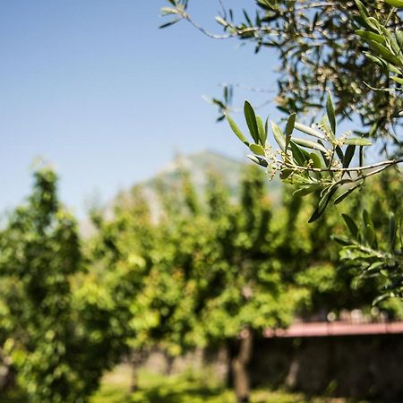 Casa Vacanza Dal Cavaliere Montesarchio Eksteriør billede
