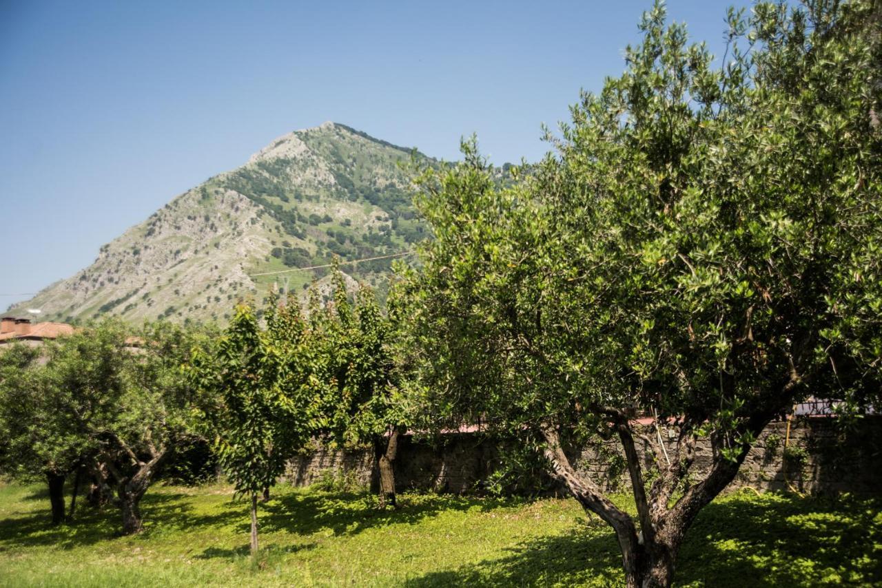 Casa Vacanza Dal Cavaliere Montesarchio Eksteriør billede